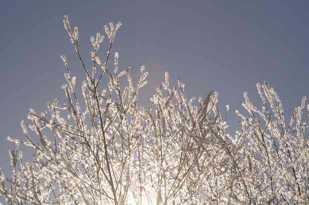 Clear, frosty natural beauty at Järvelä